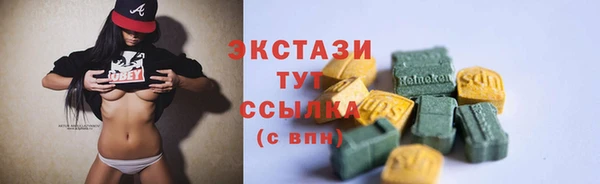 ECSTASY Елизово