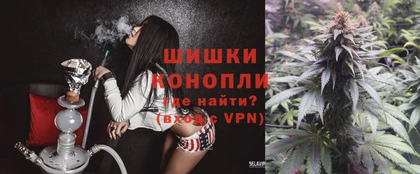 гидропоника Ельня