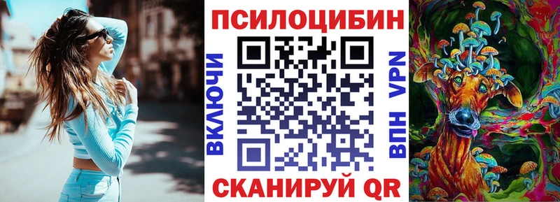 где купить наркоту  ОМГ ОМГ tor  Галлюциногенные грибы Cubensis  Новочебоксарск 