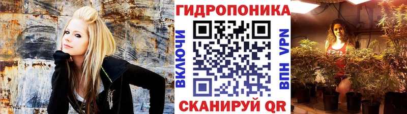 Шишки марихуана White Widow  shop наркотические препараты  Новочебоксарск  блэк спрут ссылка 